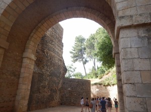 Laterratravel45