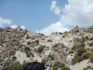 Laterratravel82