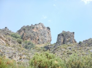 Laterratravel83