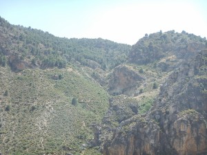Laterratravel84