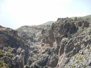 Laterratravel85