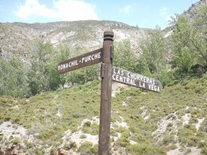 Laterratravel88