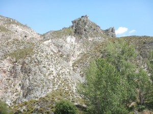 Laterratravel89